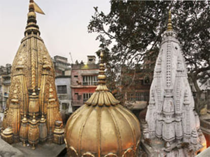 scam in vishwanath temple
