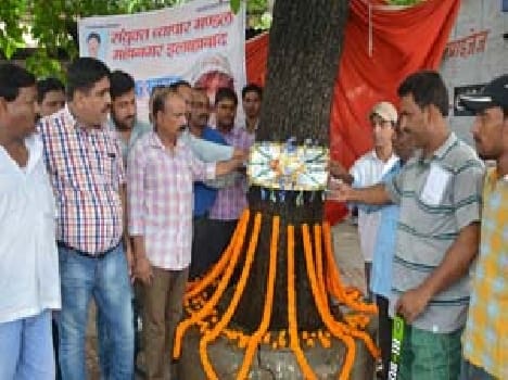 Rakhi tied to trees to protect the environment