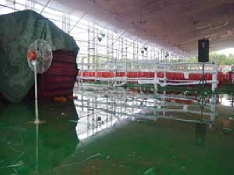Pandala filled water