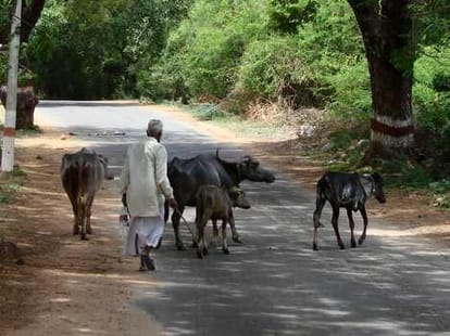 this village does not have electricity