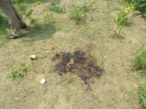 brutal crime: minor son killed father along with friends