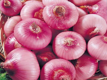 4200 kg onion theft in jaipur 