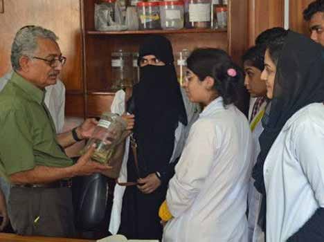 pakistan:  mostly female doctor handles home