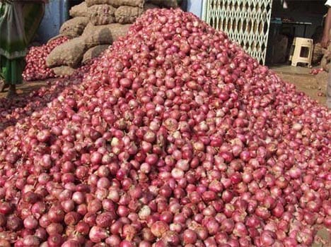 4200 kg onion theft in jaipur 