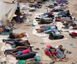 In intrest in imigrants labour