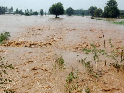 gangnahar broken, flood in villages.