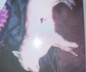 dog brutally killed, FIR registered.