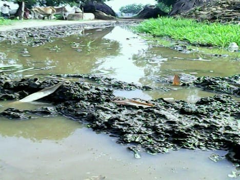 If development has not been possible boycott of the village