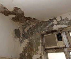 dampness is harmful for health