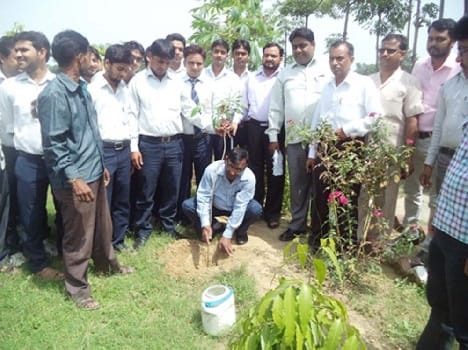 plantation