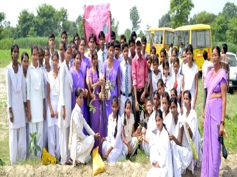 The children planted saplings on Teacher's Day