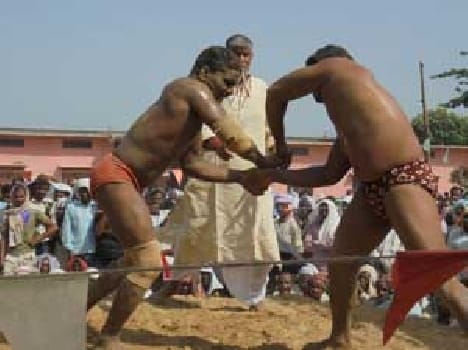 Wrestler wrestling