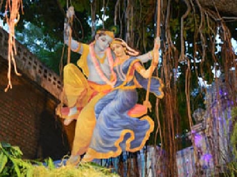 shree krishna's birthday celebrated
