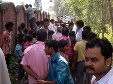 26 neat cattle slaughtering, meat smuggling