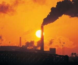 Carbon emmission cut is condition for development