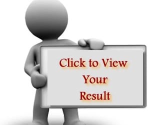 Central Teacher Eligibility Test results announced