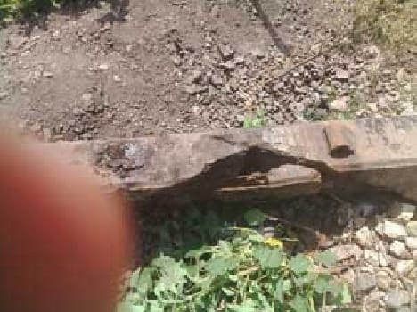 Train survived in accident  