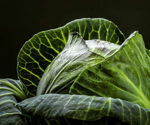 Farmers barter made cabbage