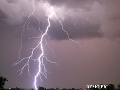 Five cattle killed by lightning