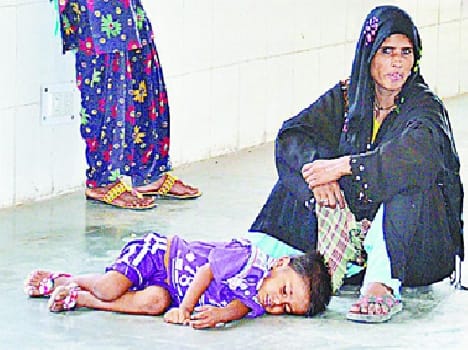 Dengue menace in baghpat