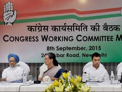 congress working Committee meeting ,  sonia gandhi get extension of one year