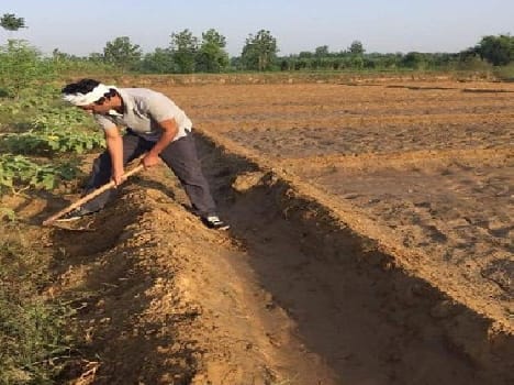 Nawazuddin farm work