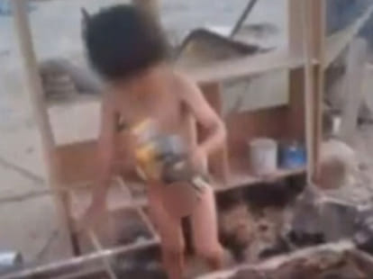 a bitch saved a 2 year old boy by feeding him