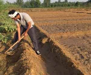 nawazuddin siddiqui use to work in his fields also