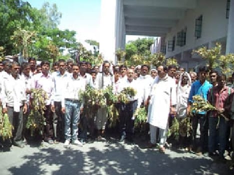 farmers demanded for compensation