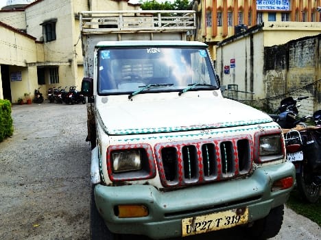 Kalan restricted animals Full truck caught