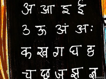 Hindi Conference ib bhopal