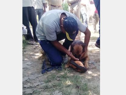 murder of businessman