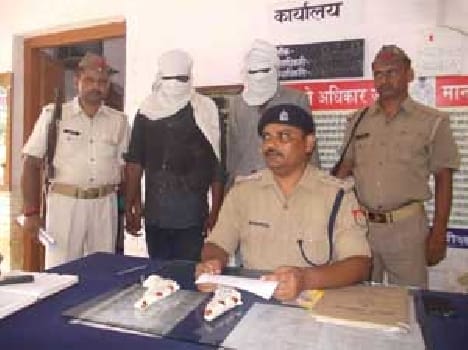 Two crooks arrested