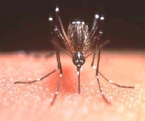 first death from dengue in uttarakhand.