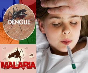 Female soldiers, including three deaths from dengue.