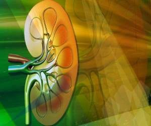 low cost treatment of kidney stone