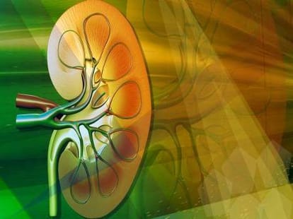   men try to sell kidney for iphone 6s 