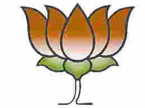 bjp will celebrate jp narayan birthday as democracy defense day