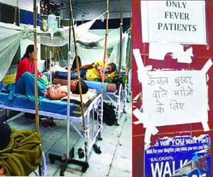 hospitals full of dengue patients, government figures lying