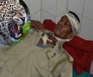 home guard personnel fight with leopard.