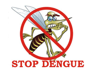 7 news case of dengue in himachal.
