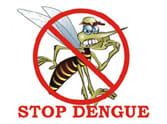The victim died of dengue in the absence of treatment