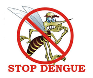  86 infected with dengue in lucknow