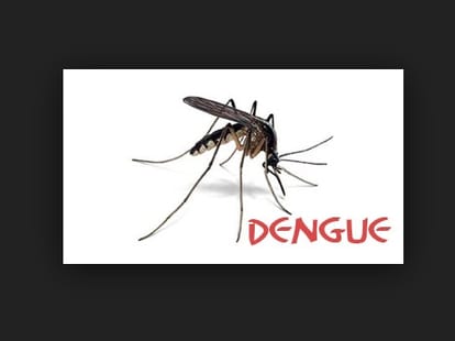 first death from dengue in uttarakhand.