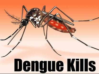 33 positive cases of dengue in himachal.