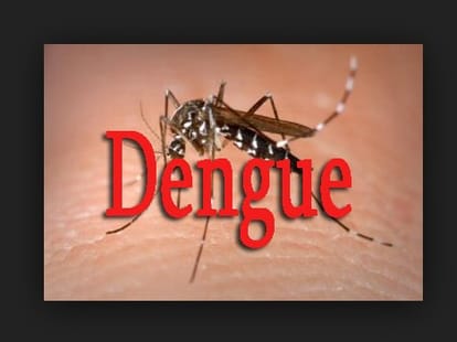 alert for dengue in panchkula, fogging campaign will start