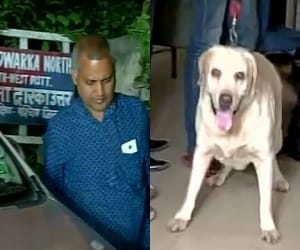 Somnath Bharti brutal attitude is the cause of trouble for him