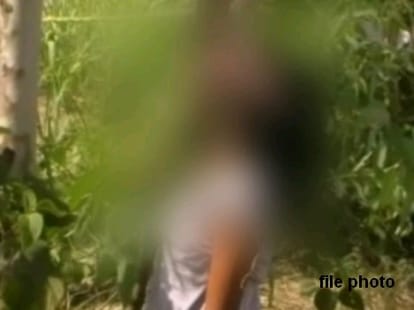 honour killing: couple dead body found in hanging on tree, commotion