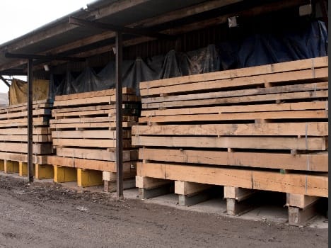 himachal govt amended timber distribution rules.
