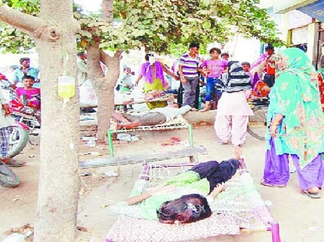 Malaria havoc